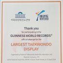 용인대 가온 태권도 이미지