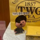 투썸플레이스 광주진월점 이미지