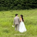 홀스짐 | 제주웨딩스냅 남자수트 정장 예복 대여 홀스테일러 후기