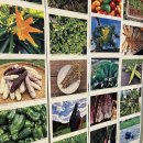 성대농장 이미지