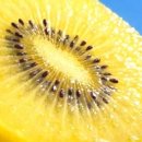 제로마진유통 이미지