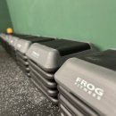 PT국대들 이미지