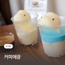 7457 | 울산 장생포 카페 커피애광 주차,메뉴 후기(고래가토,말렌카 꿀 케이크)