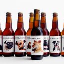 Design Dog 이미지