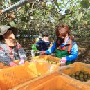 김진근농장 이미지