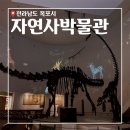 고성자연사박물관 | 목포가볼만한곳_ 자연사박물관