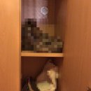 힐링투유안마원 | 성신여대 힐링투유 안마원 후기