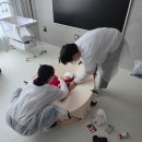 위드아트 | 견이그라피-대구 출장 본아트+위드컷 촬영 후기