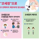 (주)메드키트 | 아이 코세척 처음이라면? 네일메드 키즈 사용 후기와 실패 없는 선택법