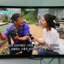6시내고향 이미지