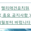 멜리애견유치원 이미지