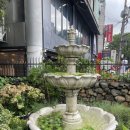 상수 합정 카페 콜린 Colline 내돈내산 후기
