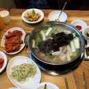 온닭한마리