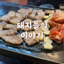 돼지들의이야기 이미지