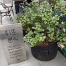 분식매니아 | 📍왕십리 서울숲 감성 분식 맛집 방문후기 🍜 띠또분식 (내돈내산 💶)