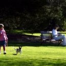 은평한의원 이미지