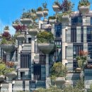 천수 | 상하이 여행 필수 코스, 사진 찍기 좋은 천안천수(1000 Trees) 후기