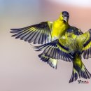 아름다운 머리방 이미지