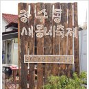 새동네 티스토리