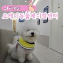 송도종합동물병원 | 송도 24시 동물 병원 종합검진 오케이동물메디컬센터