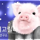 바디로션 바르니까 확실히 피부결이 좋아짐 너네도 발라 이미지