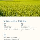 가야도로 이미지