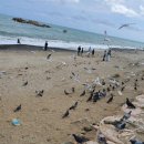 칠절리마을회관 | 경주가족여행*문무대왕암*전촌용굴(사룡굴)*카페 커피와 여행*맛집 중국성