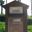 솔숲(매탄공원) 이미지