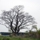 여운목장 이미지