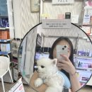 아리따움삼문점