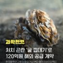 (주)피엠아이바이오텍(PMI Biotech Inc.) | 약대 세특, 화학 세특 탐구 보고서, 처치 곤란 굴 껍데기, 친환경 칼슘 제품, 지역 인재 주목, 약대...