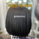 올라헤어닥터