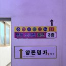 무선로 | [내돈내산] 여수 무선 양고기 맛집 회식장소 추천 양돈명가 죽림점