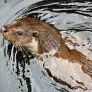 신천부동산중개 이미지