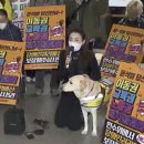 공존마켓