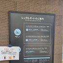후쿠오카 가볼만한곳 추천 오호리 공원, 후쿠오카 타워, 모모치 해변 여행 후기