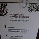 크린세탁소 이미지