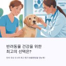 찬샘동물병원 | 전국 각 지역별 뛰어난 애완동물 병원 모음, 믿을 수 있는 선택 가이드