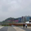 은행천 이미지