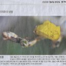 이화여자대학교 통역번역대학원 이미지