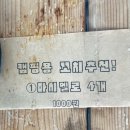 베테랑바베큐일산점