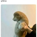 가자 이미지