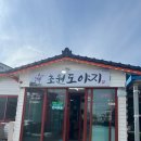 초원도야지