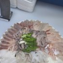 오광수산회센타