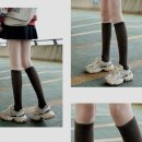 니랑 이미지