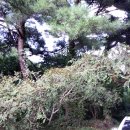 청도공인중개사사무소 이미지