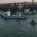 중앙고무 이미지