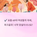 🏌️‍♀️ 파크골프 규칙? 이것만 알면 60대 초보도 &#39;매너왕&#39; 등극! (feat. 자세한 경기 규칙과 에티켓)