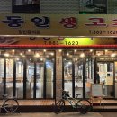 금왕정육