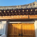 스테이애견샵